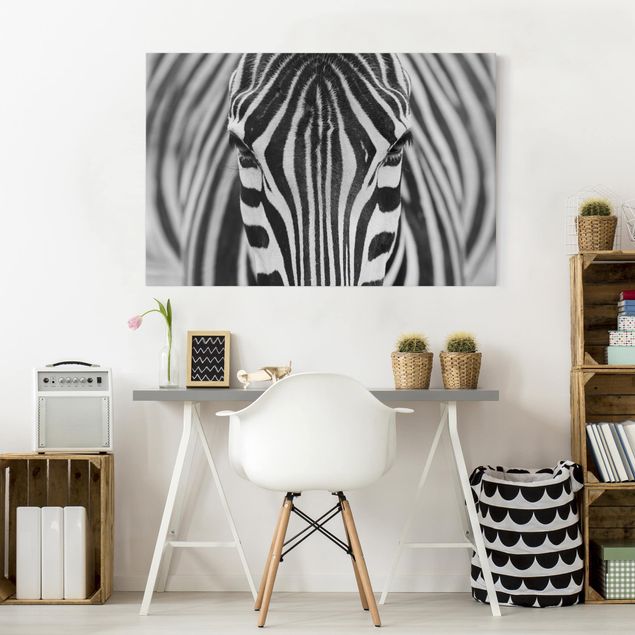 Stampa su tela bianco e nero Sguardo da zebra
