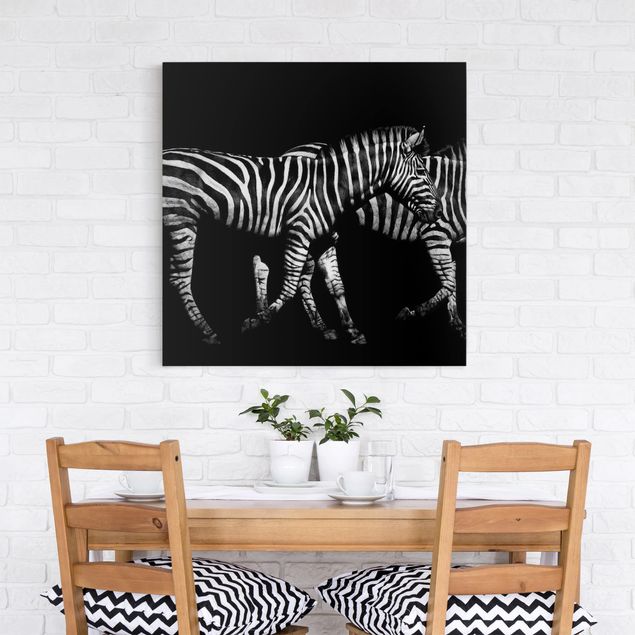 Tele bianco e nero Zebra nel buio