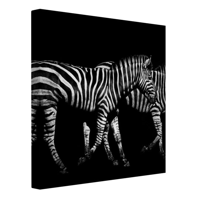 Stampe su tela animali Zebra nel buio