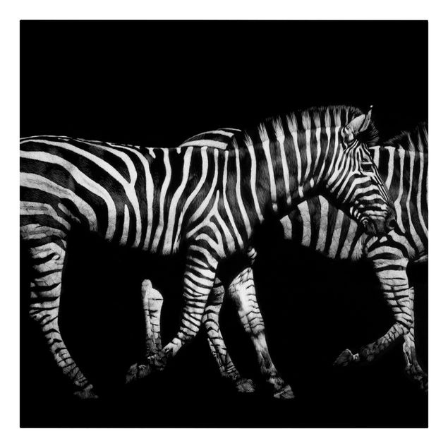 Quadri moderni per soggiorno Zebra nel buio