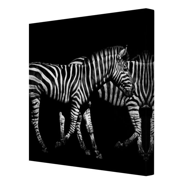 Quadri su tela Zebra nel buio