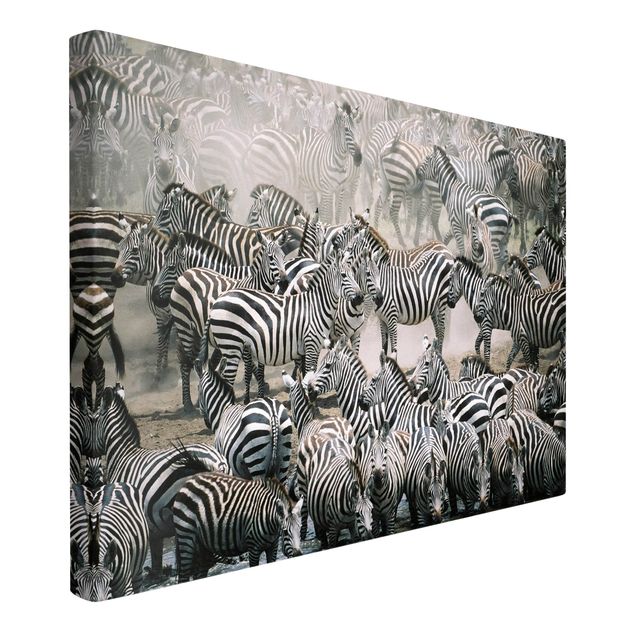 Stampe su tela animali Branco di zebre