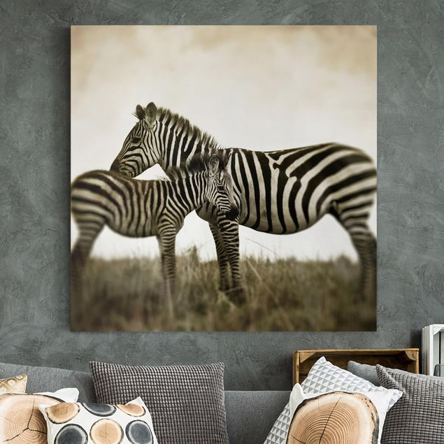 stampe animali Coppia di zebre