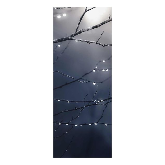 Quadro in vetro - Gocce di luce su ramo di betulla