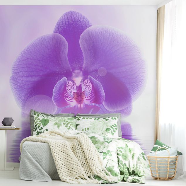 Carta da parati - Purple Orchid on water