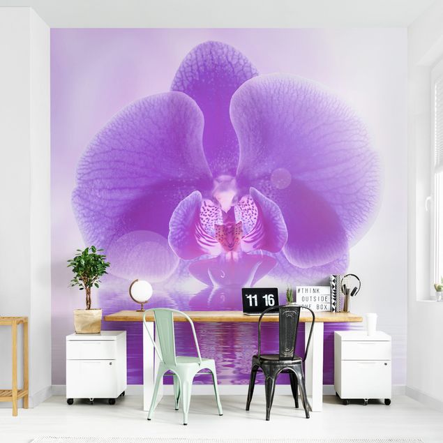 Carta da parati - Purple Orchid on water