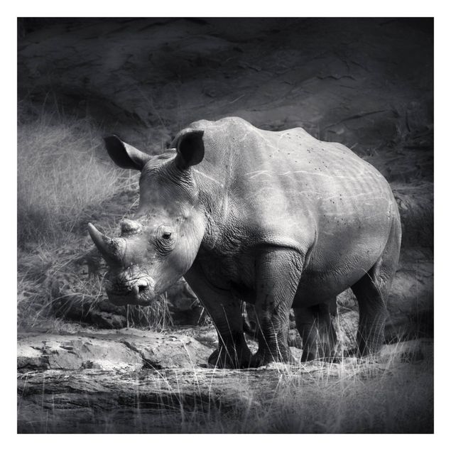 Carta da parati - Lonesome Rhinoceros