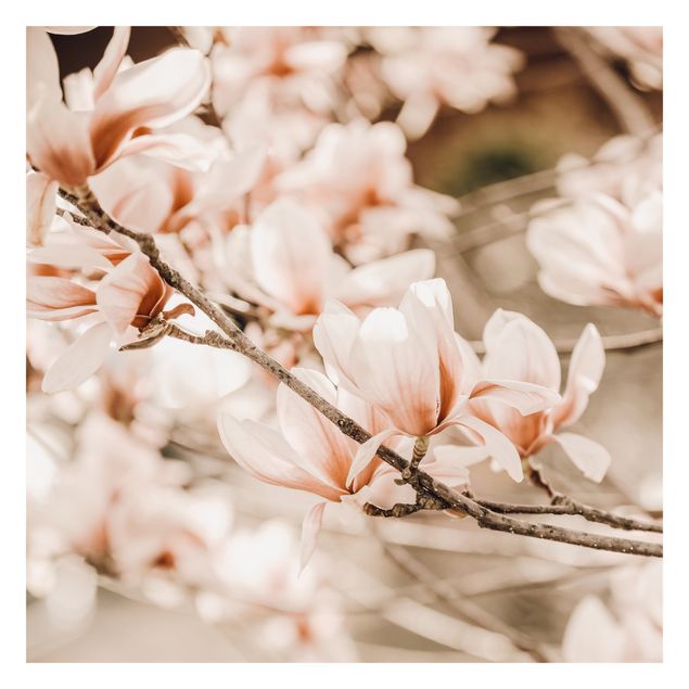 Carta da parati - Ramo di magnolia in stile vintage