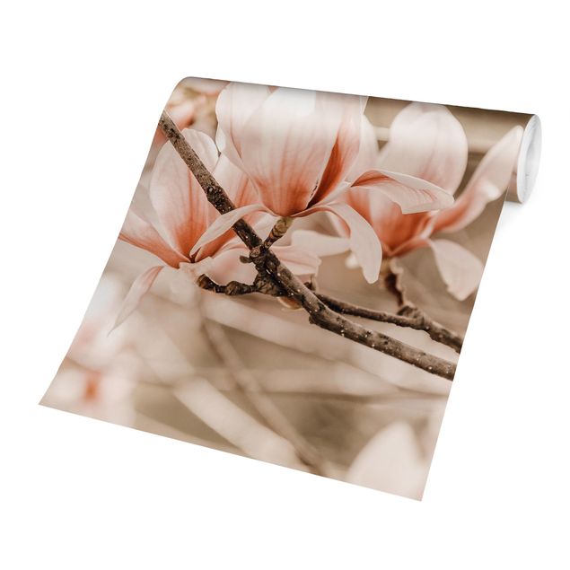 Carta da parati - Ramo di magnolia in stile vintage
