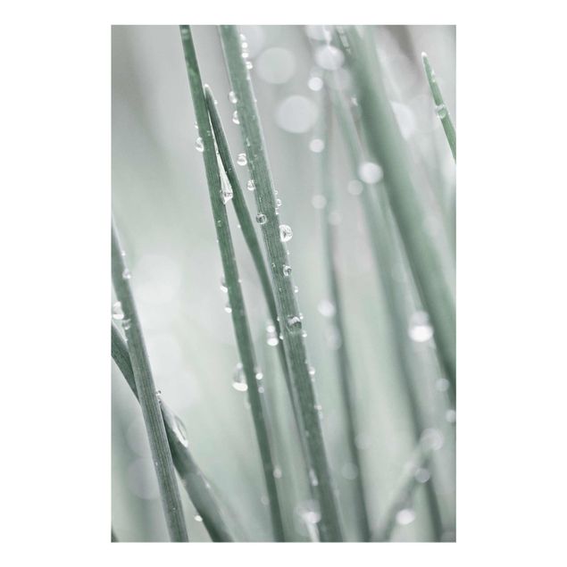 Quadro in vetro - Macro inquadratura di perle d'acqua nell'erba
