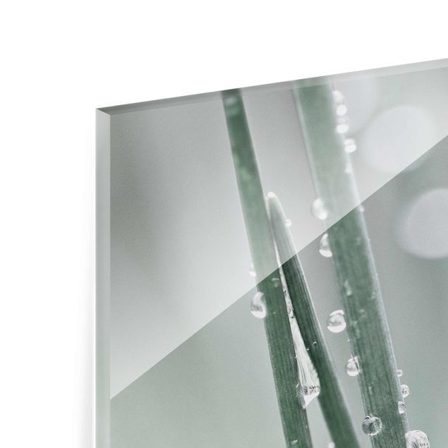Quadro in vetro - Macro inquadratura di perle d'acqua nell'erba