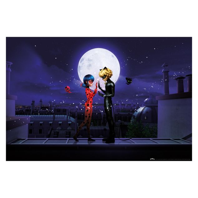 Carta da parati - Miraculous Ladybug e Chat Noir al chiaro di luna