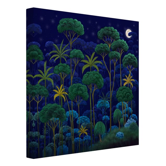 Tele con paesaggi Mezzanotte nella foresta pluviale