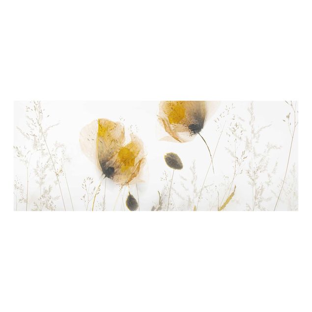 Quadro in vetro - Papaveri e erbe delicate nella morbida nebbia