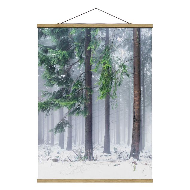 Foto su tessuto da parete con bastone - Conifere d'inverno - Verticale 3:4