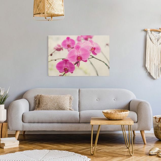Quadri moderni per soggiorno Orchidea ravvicinata