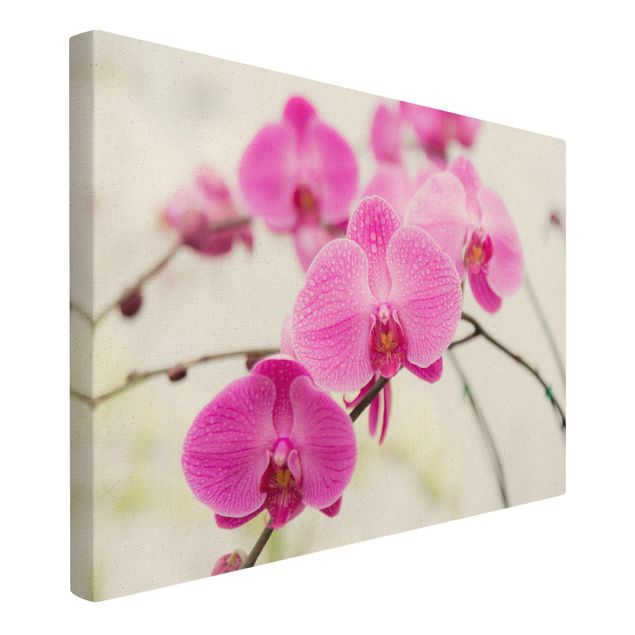 Quadro su tela naturale - Primo piano orchidea - Formato orizzontale 3:2