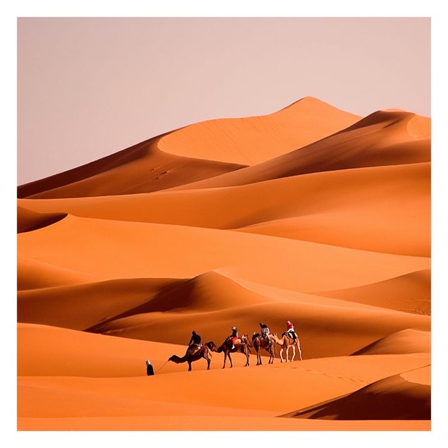 Carta da parati - Namib Desert
