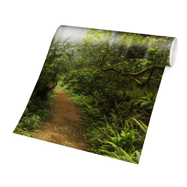 Carta da parati - Misty forest path