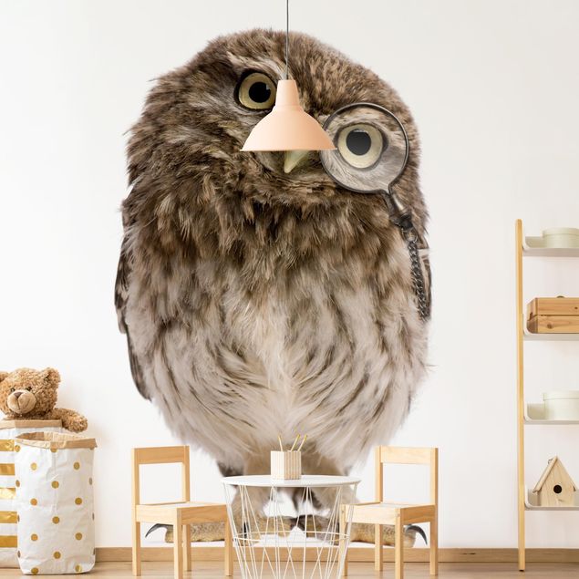 Carta da parati - Curious Owl