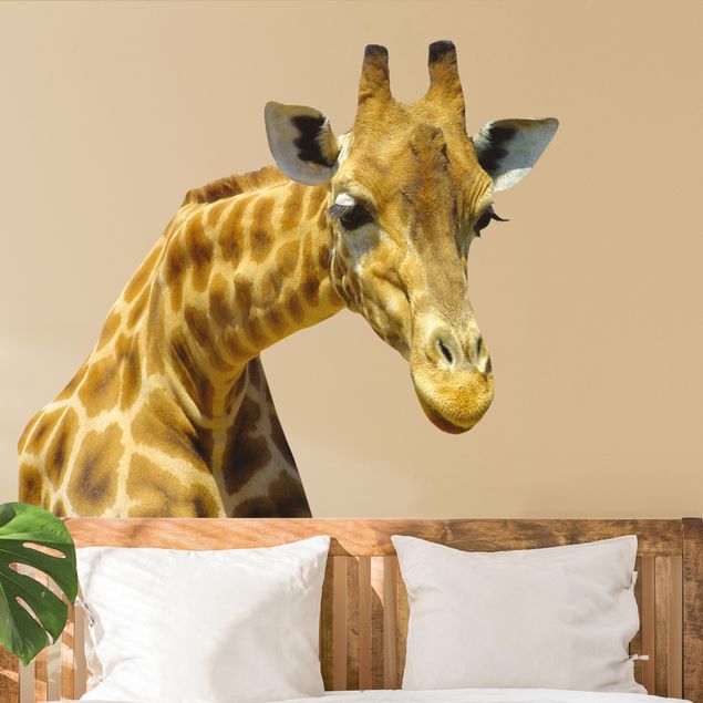 Adesivo murale - Giraffa curiosa
