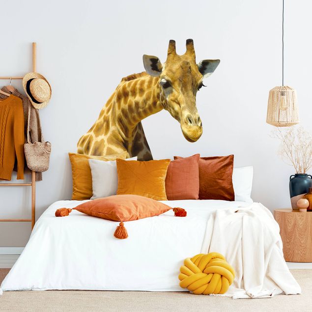Adesivo murale - Giraffa curiosa