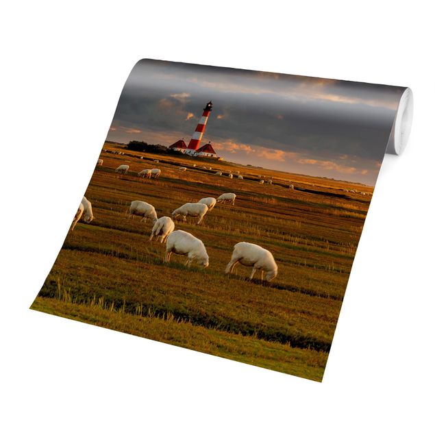 Carta da parati - North Sea lighthouse with sheep flock