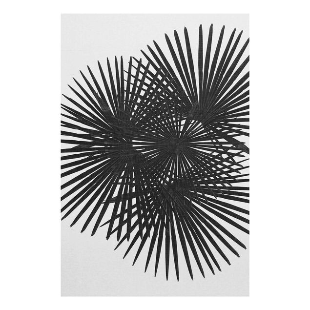 Quadro in vetro - Foglie di palma in bianco e nero