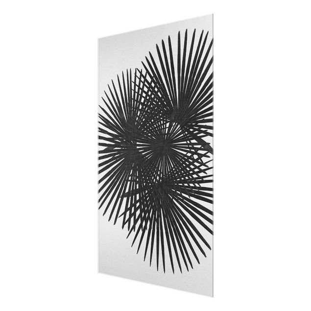 Quadro in vetro - Foglie di palma in bianco e nero