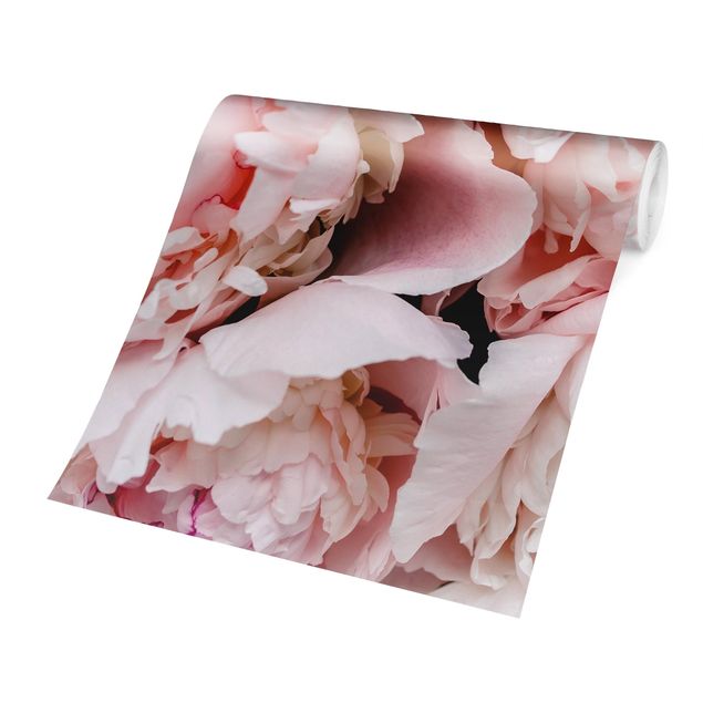 Carta da parati adesiva - Peonie rosa chiaro