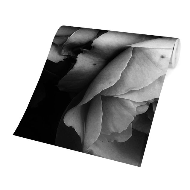 Carta da parati - Peonie su sfondo nero shabby in bianco e nero