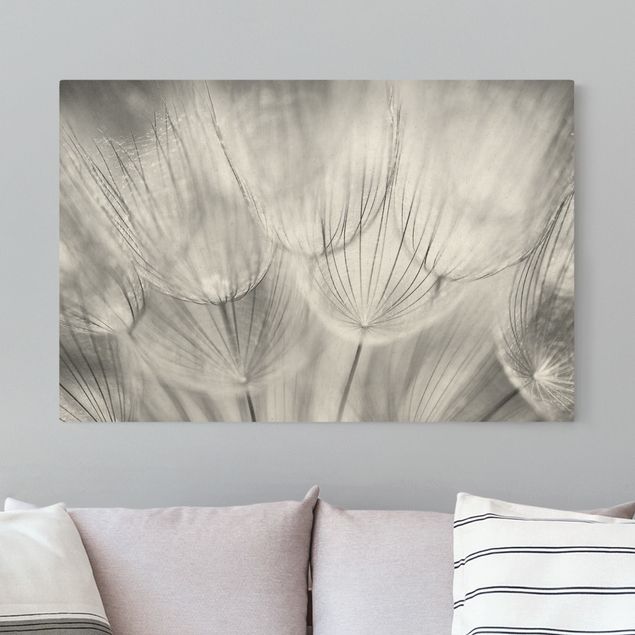 Quadri su tela fiori Dandelions macro shot in black and white