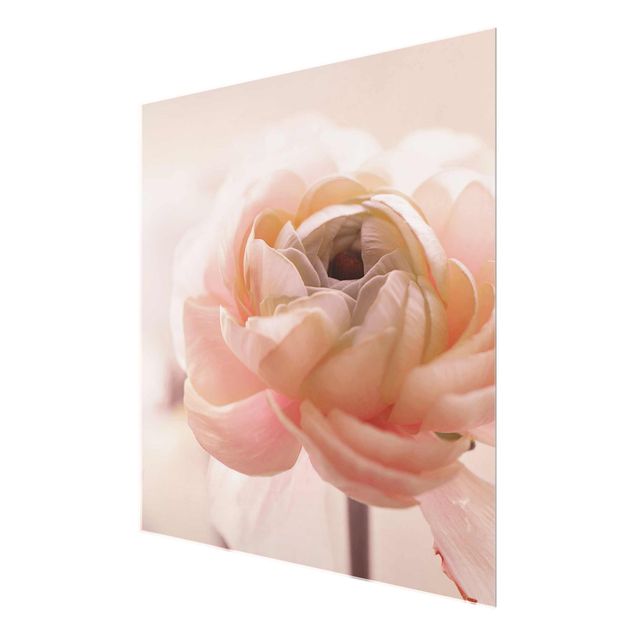 Quadro in vetro - Focus su fioritura rosa