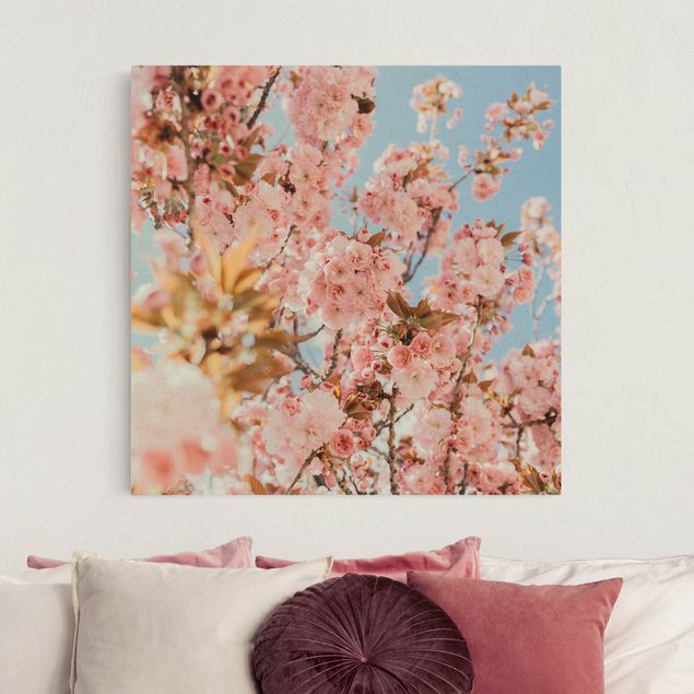 Quadri su tela fiori Fiori di ciliegio rosa in abbondanza