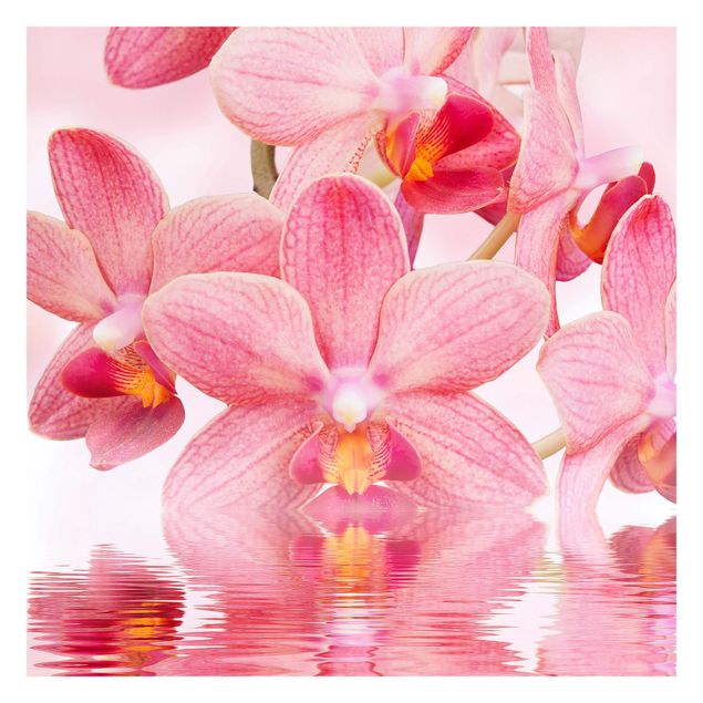 Carta da parati - Pink Orchid on water