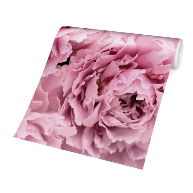 Carta da parati adesiva - Peonie rosa