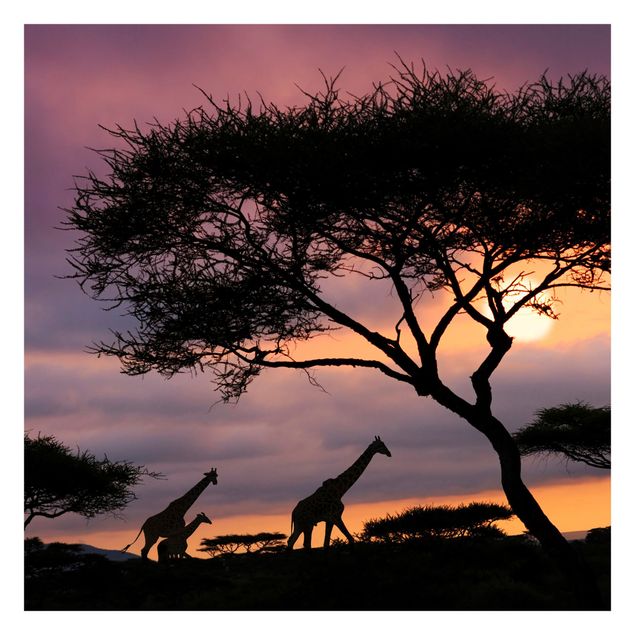Carta da parati - Safari In Africa