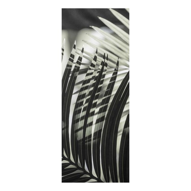 Quadro in vetro - Giochi di ombre su ramo di palma