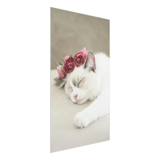 Quadro in vetro - Gatto che dorme con rose