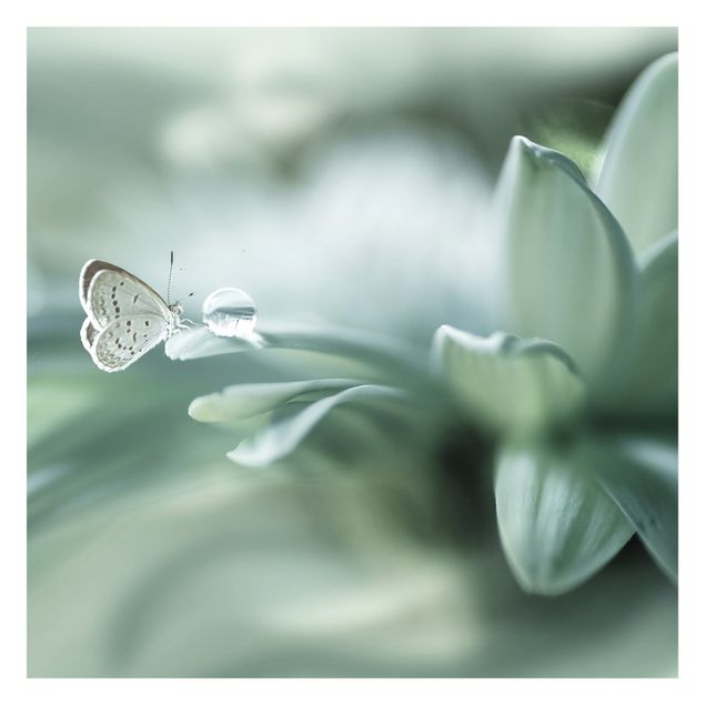 Carta da parati - Farfalla e gocce di rugiada verde pastello