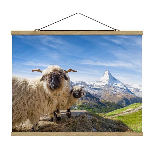 Foto su tessuto da parete con bastone - Pecore naso nero di Zermatt - Orizzontale 4:3