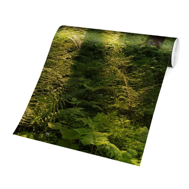 Carta da parati - Sunrays in forest green