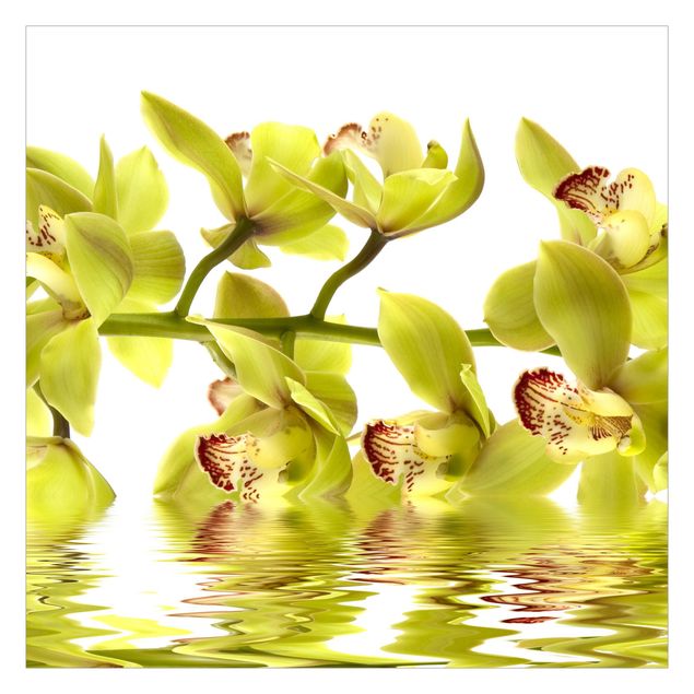 Carta da parati - Splendid Orchid Waters