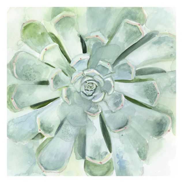 Carta da parati - Succulente in acquerello chiaro