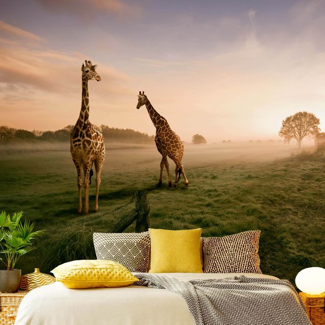 Carta da parati - Surreal Giraffes