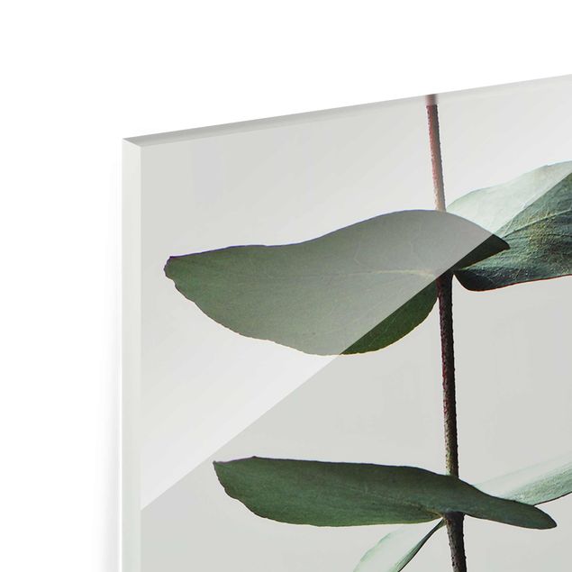 Quadro in vetro - Ramo di eucalipto simmetrico