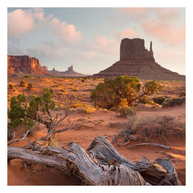 Carta da parati - Monument Valley Navajo Arizona