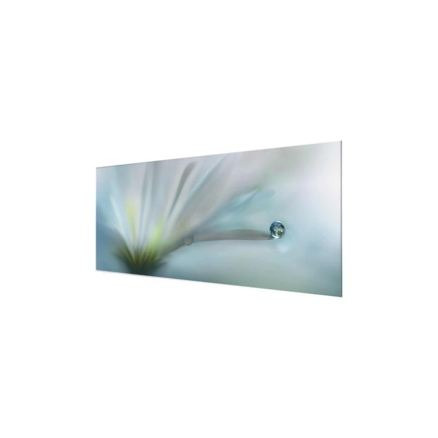 Quadro in vetro - Goccia di rugiada su fiore bianco