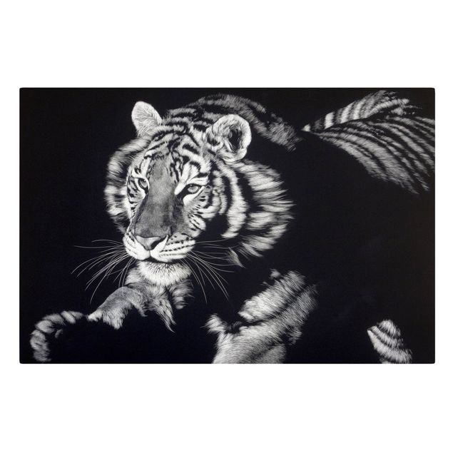 Riproduzione quadri su tela Tigre nella luce del sole su nero
