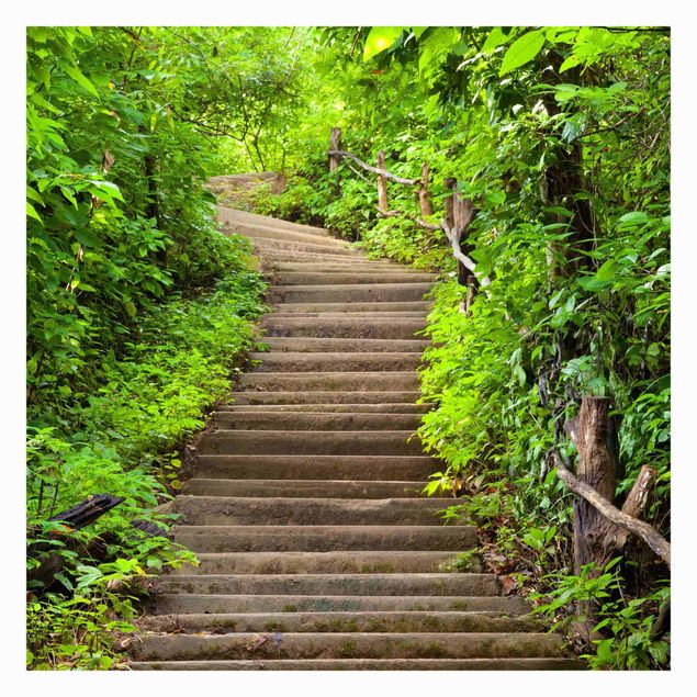 Carta da parati - Stair climb in the forest